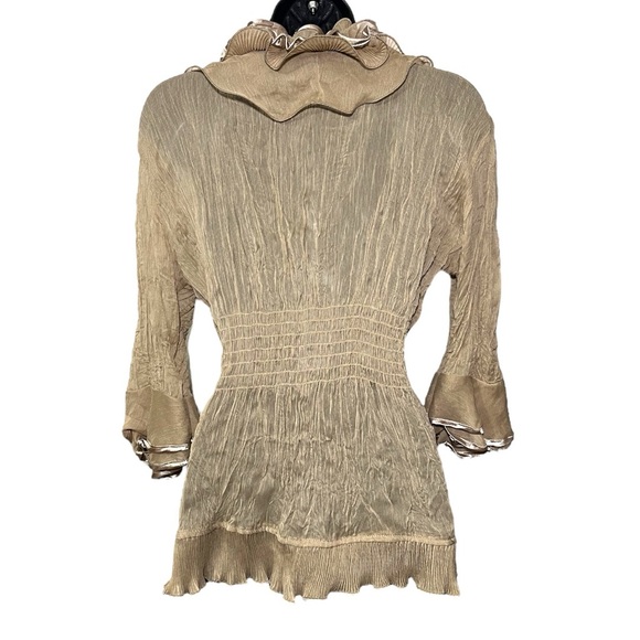 Daniel Tan Sheer Ruffle Button down Blouse - Picture 3 of 5